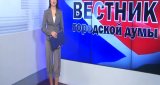 Вестник городской Думы (13 декабря 2015)